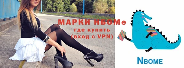 хмурый Арсеньев