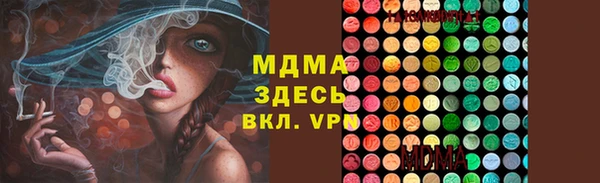 хмурый Арсеньев