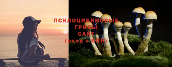 PSILOCYBIN Армянск