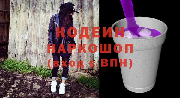 хмурый Арсеньев