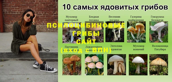 хмурый Арсеньев