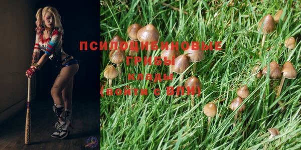 ешки Аркадак