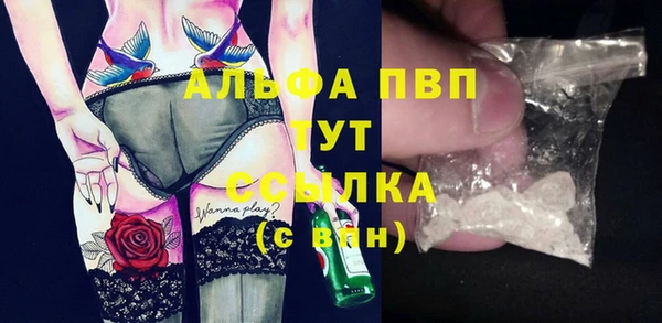 хмурый Арсеньев