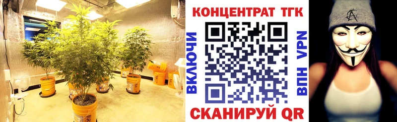 Купить где  Суоярви  Дистиллят ТГК THC oil 