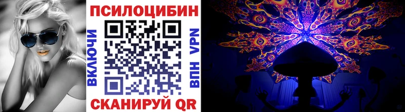 Купить  Суоярви  Псилоцибиновые грибы Cubensis 